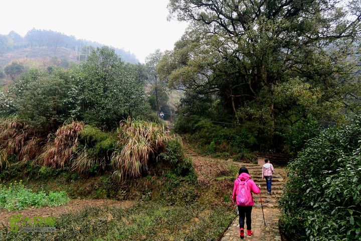 20150314金华智者寺——霞客古道——北山第一庙2015-03-14044