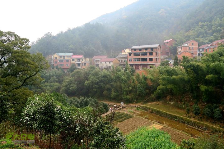 20150314金华智者寺——霞客古道——北山第一庙2015-03-14046