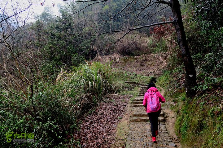 20150314金华智者寺——霞客古道——北山第一庙2015-03-14064