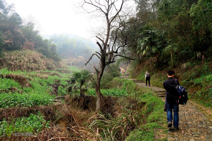 20150314金华智者寺——霞客古道——北山第一庙2015-03-14068