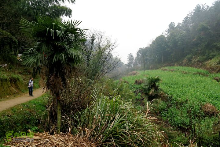 20150314金华智者寺——霞客古道——北山第一庙2015-03-14070