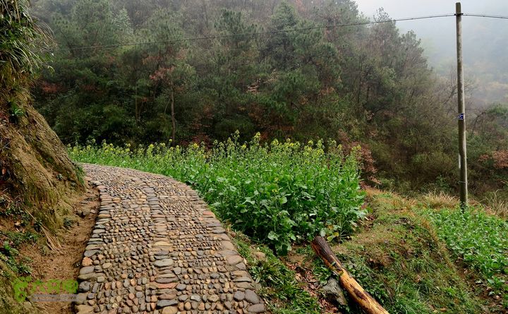 20150314金华智者寺——霞客古道——北山第一庙2015-03-14077