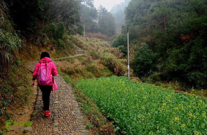 20150314金华智者寺——霞客古道——北山第一庙2015-03-14080