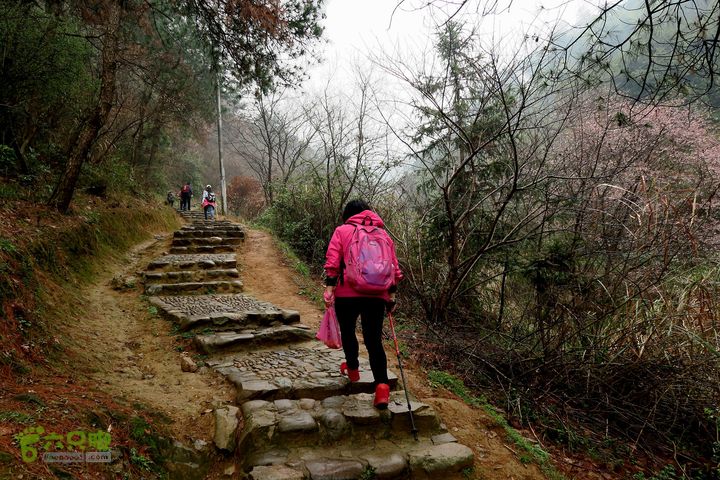 20150314金华智者寺——霞客古道——北山第一庙2015-03-14082