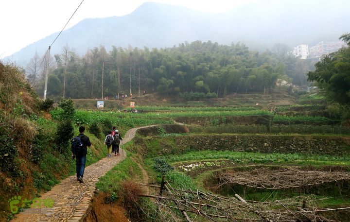 20150314金华智者寺——霞客古道——北山第一庙2015-03-14090