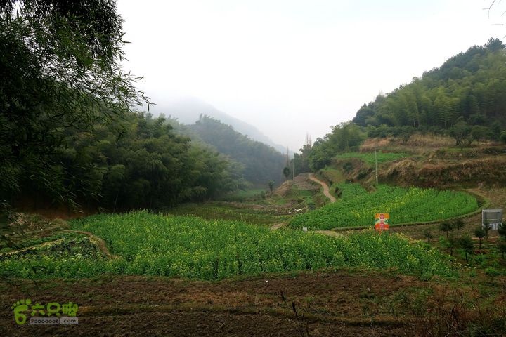 20150314金华智者寺——霞客古道——北山第一庙2015-03-14097