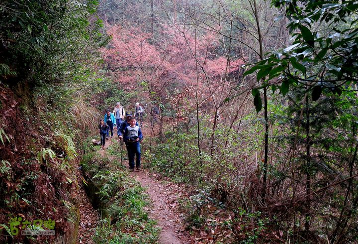 20150314金华智者寺——霞客古道——北山第一庙2015-03-14109