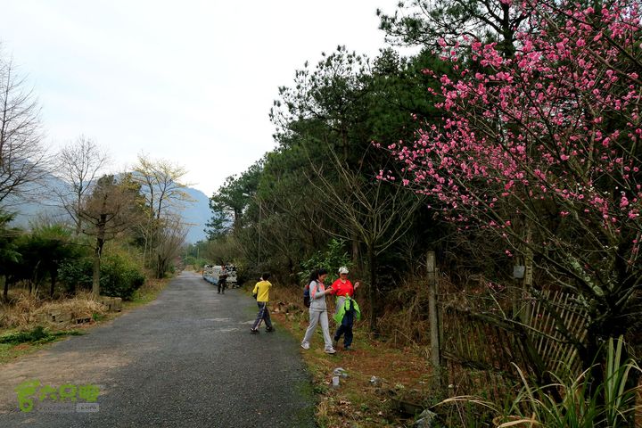20150314金华智者寺——霞客古道——北山第一庙2015-03-14130