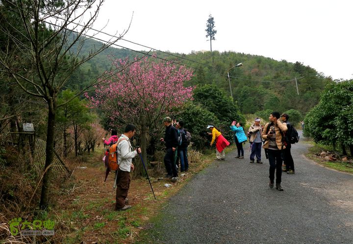 20150314金华智者寺——霞客古道——北山第一庙2015-03-14131