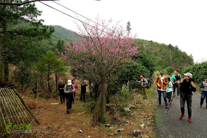 20150314金华智者寺——霞客古道——北山第一庙2015-03-14132