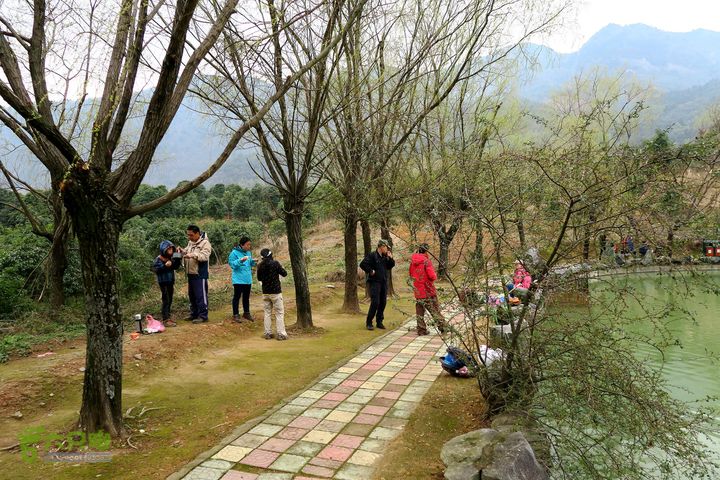 20150314金华智者寺——霞客古道——北山第一庙2015-03-14141