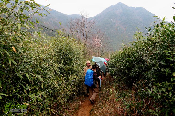 20150314金华智者寺——霞客古道——北山第一庙2015-03-14151