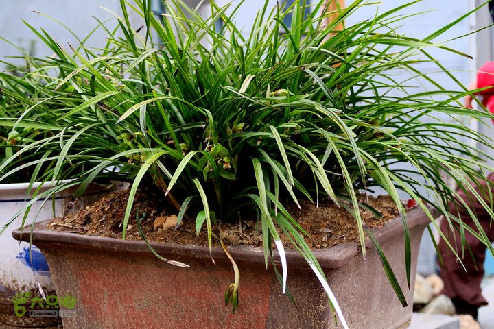 20150314金华智者寺——霞客古道——北山第一庙2015-03-14181 - 副本