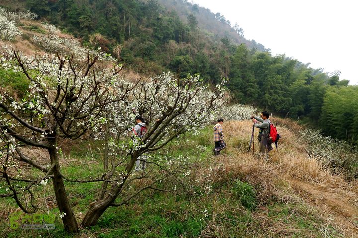 20150314金华智者寺——霞客古道——北山第一庙2015-03-14225 - 副本