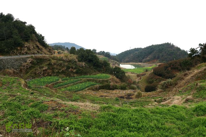 20150314金华智者寺——霞客古道——北山第一庙2015-03-14196 - 副本