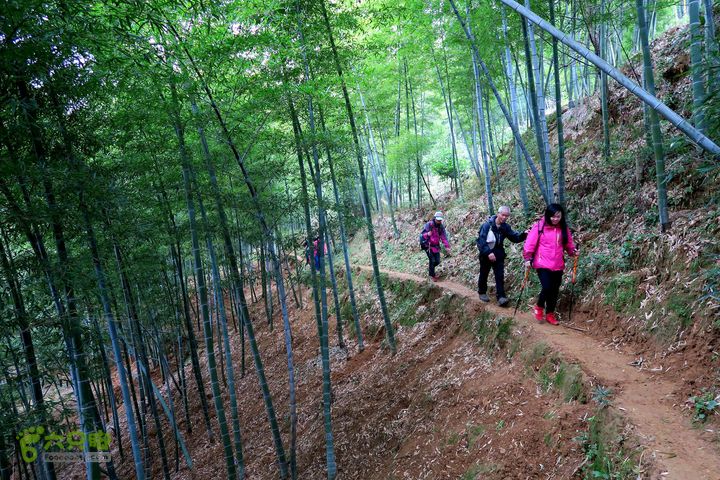 20150314金华智者寺——霞客古道——北山第一庙2015-03-14216 - 副本