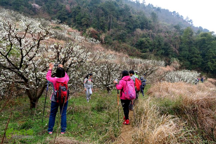 20150314金华智者寺——霞客古道——北山第一庙2015-03-14226 - 副本