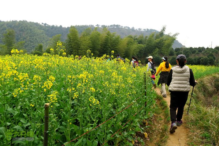 20150314金华智者寺——霞客古道——北山第一庙2015-03-14217 - 副本