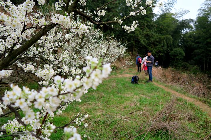 20150314金华智者寺——霞客古道——北山第一庙2015-03-14227 - 副本