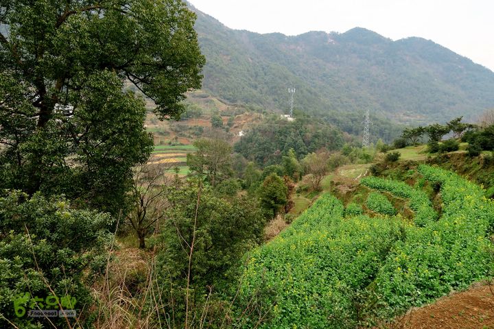 20150314金华智者寺——霞客古道——北山第一庙2015-03-14190 - 副本