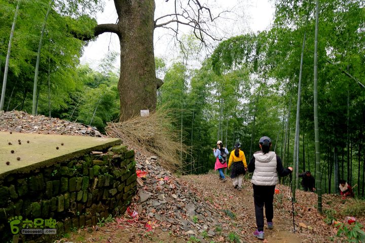 20150314金华智者寺——霞客古道——北山第一庙2015-03-14214 - 副本