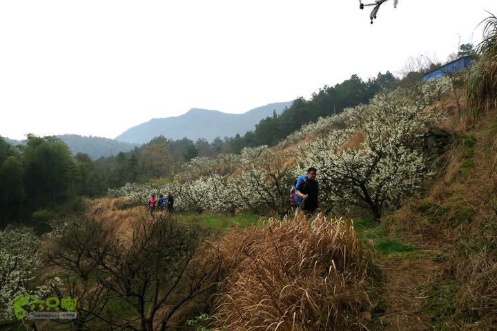 20150314金华智者寺——霞客古道——北山第一庙2015-03-14231 - 副本