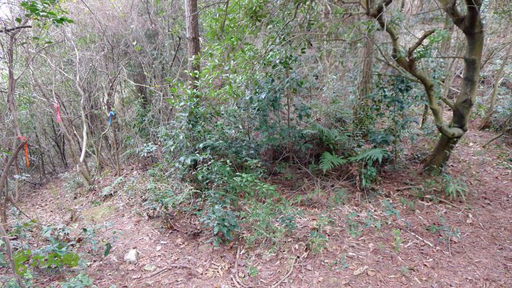 瓯北山脊这里三岔路口，走左边山腰比较轻松，若走右边一小段路后也能殊途同归，但路况差一些