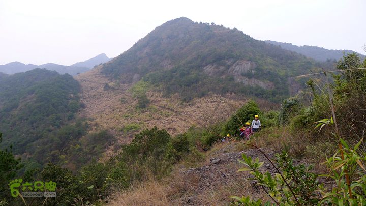 瓯北山脊走出竹林回头看到山腰上的来路
