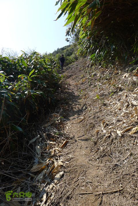 雁荡山石门雁湖凌云尖环线下山路