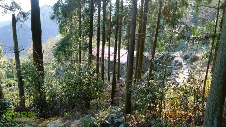 雁荡山石门雁湖凌云尖环线石门岙村