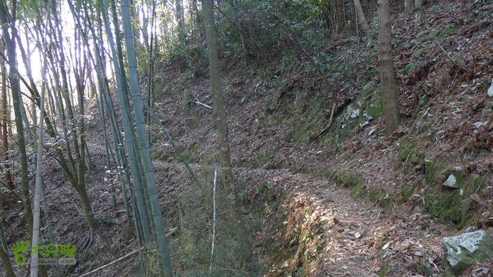 雁荡山石门雁湖凌云尖环线前往茶园