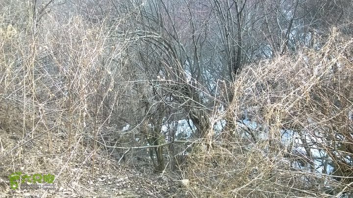 朝阳洞 穿 大寺WP_20150314_023