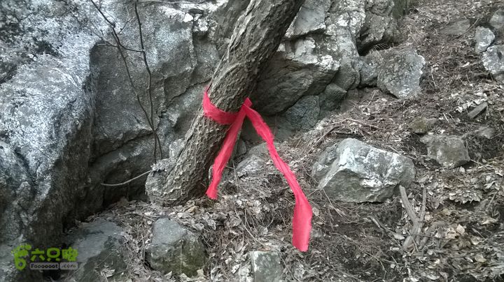 朝阳洞 穿 大寺WP_20150314_028