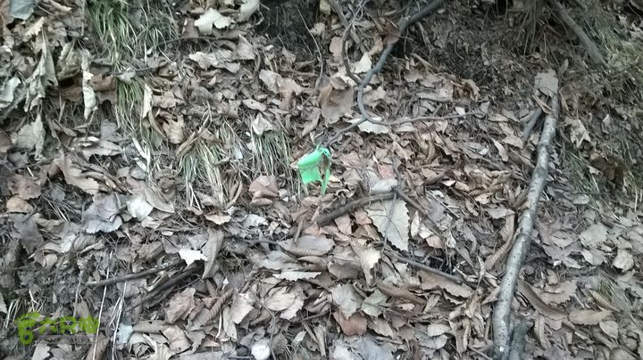 朝阳洞 穿 大寺WP_20150314_031