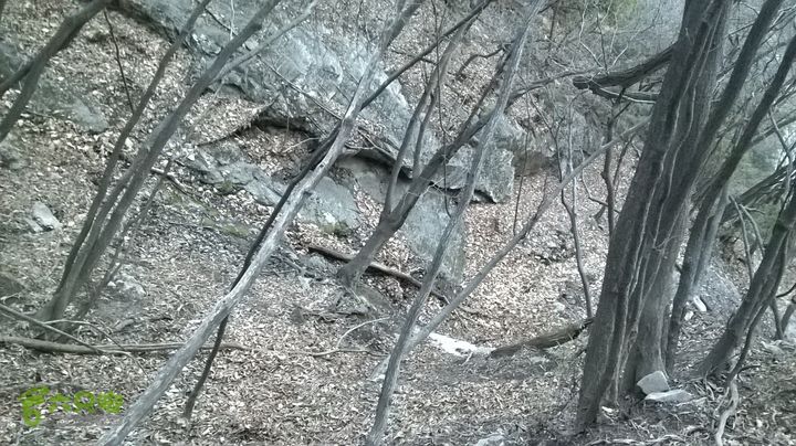 朝阳洞 穿 大寺WP_20150314_032