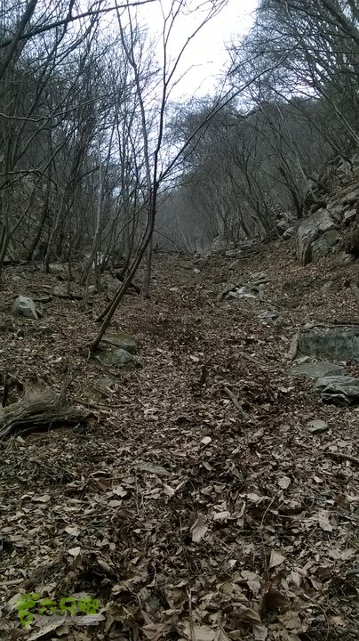 朝阳洞 穿 大寺WP_20150315_003