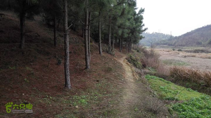 石仙IMG_20150319_162040