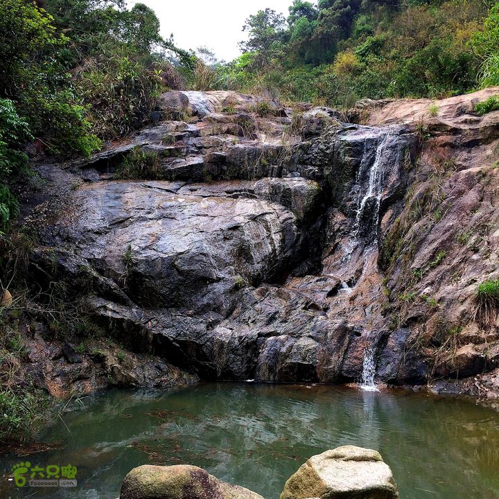 凤凰山东坑水塘尾-探龙路.水库西林道.农科所.东坑新村IMG_0897