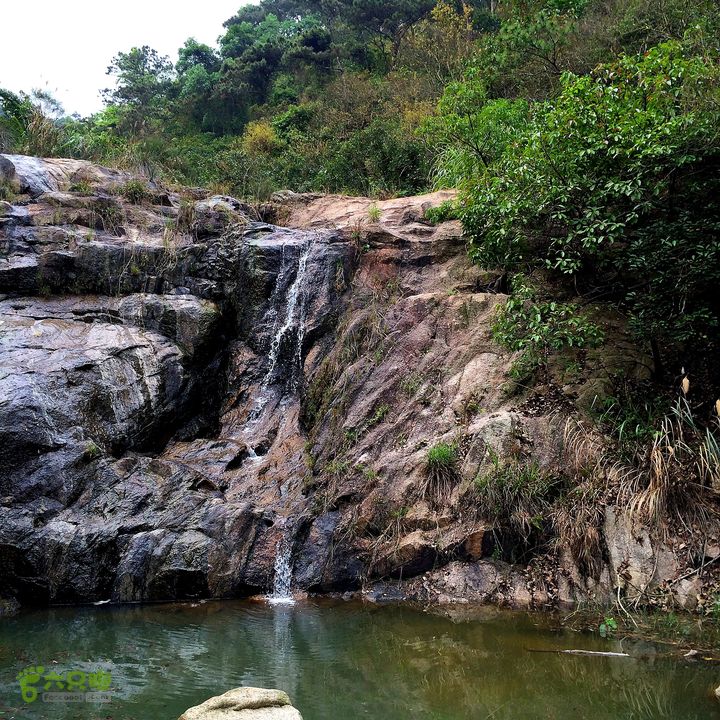凤凰山东坑水塘尾-探龙路.水库西林道.农科所.东坑新村IMG_0899