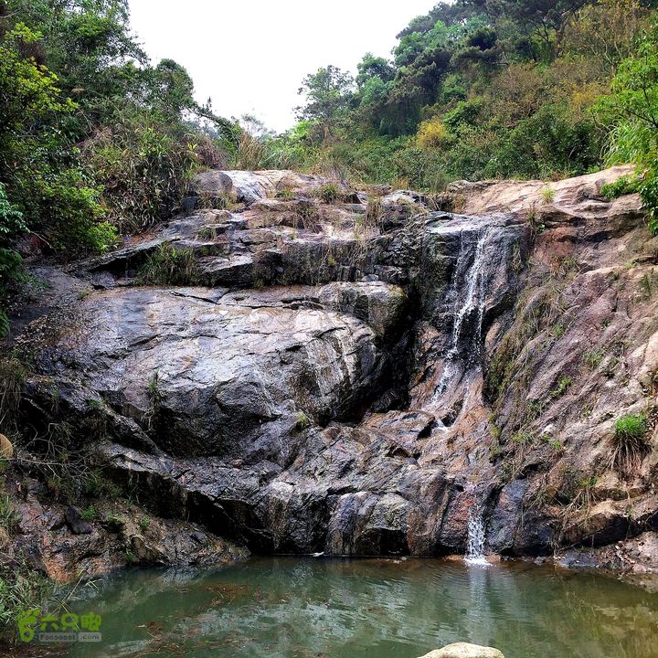 凤凰山东坑水塘尾-探龙路.水库西林道.农科所.东坑新村IMG_0900
