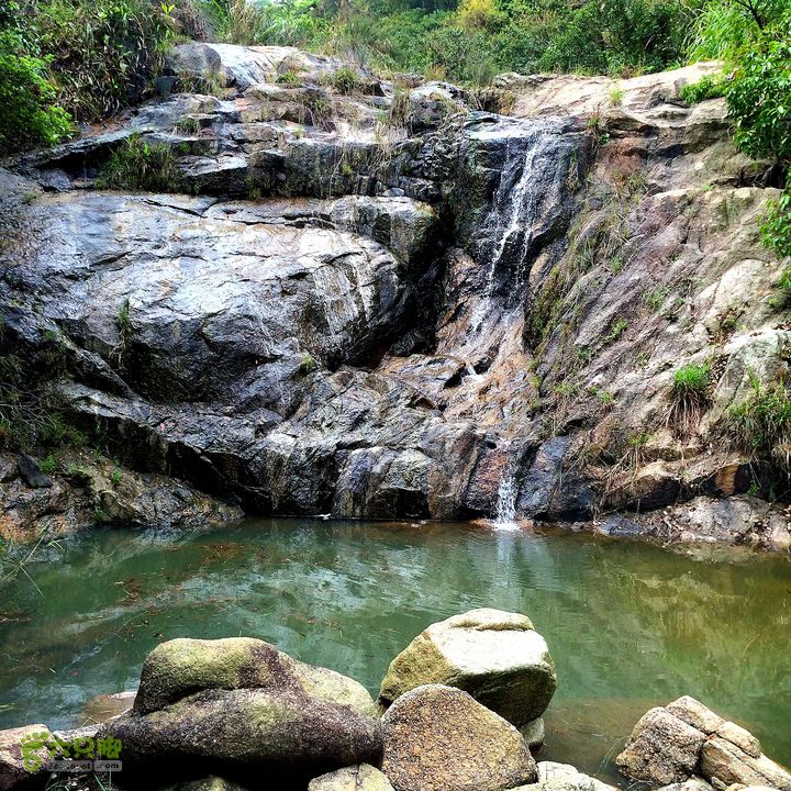 凤凰山东坑水塘尾-探龙路.水库西林道.农科所.东坑新村IMG_0901