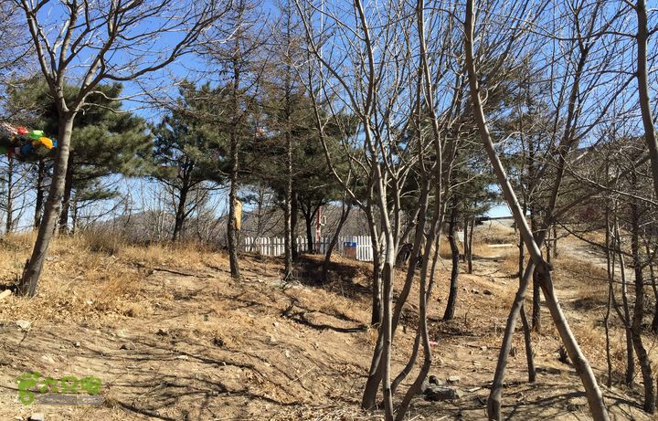 20150320-21骑行阳台山-妙峰山-禅房 （下篇）150321-涧沟村-妙峰山主峰-禅房-上苇甸村 (开始徒步登妙峰山主峰了)