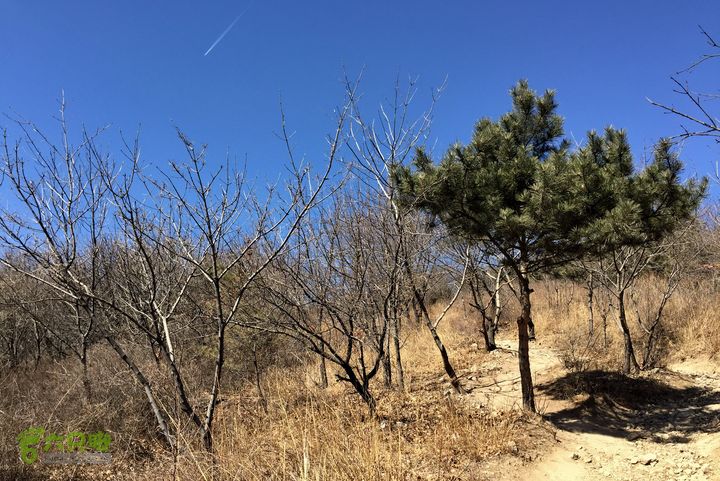 20150320-21骑行阳台山-妙峰山-禅房 （下篇）150321-涧沟村-妙峰山主峰-禅房-上苇甸村 (登妙峰山主峰路上)
