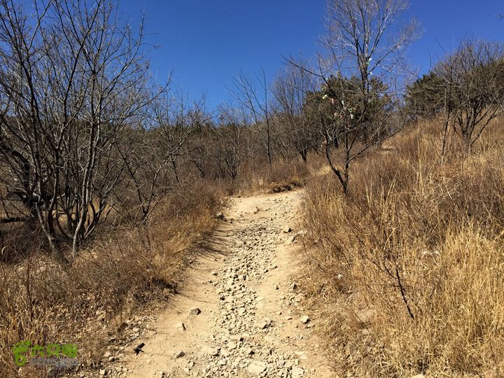 20150320-21骑行阳台山-妙峰山-禅房 （下篇）150321-涧沟村-妙峰山主峰-禅房-上苇甸村 (登妙峰山主峰路上)