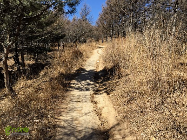 20150320-21骑行阳台山-妙峰山-禅房 （下篇）150321-涧沟村-妙峰山主峰-禅房-上苇甸村 (登妙峰山主峰路上)