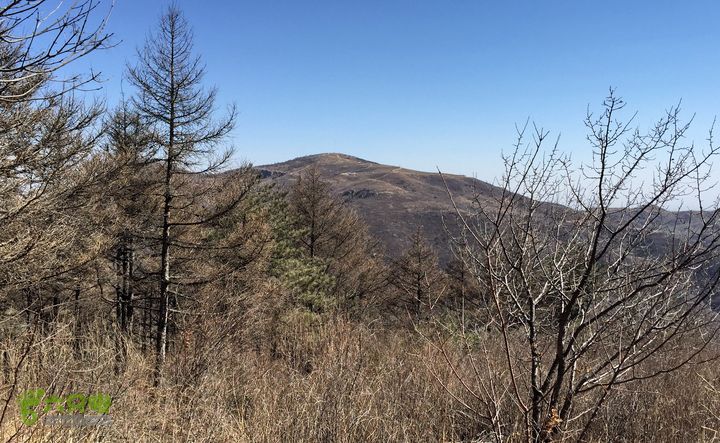 20150320-21骑行阳台山-妙峰山-禅房 （下篇）150321-涧沟村-妙峰山主峰-禅房-上苇甸村 (登妙峰山主峰路上)