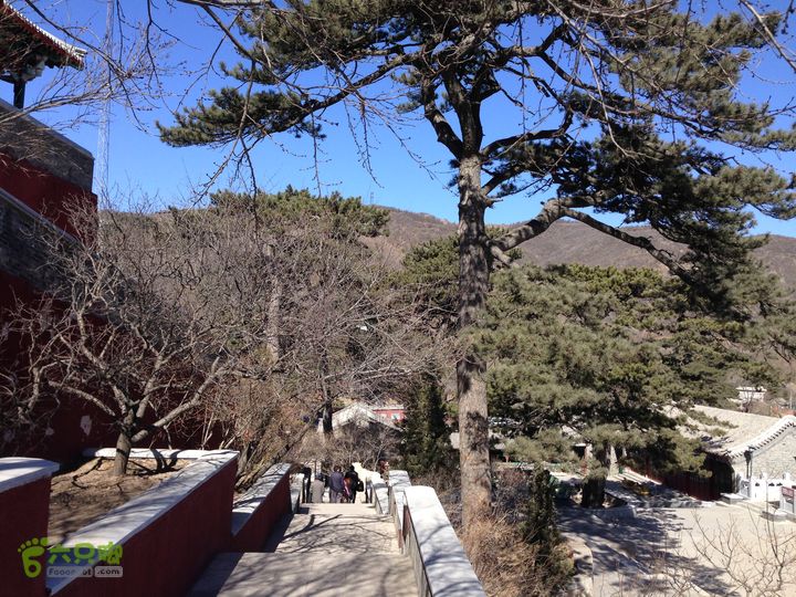 20150320-21骑行阳台山-妙峰山-禅房 （下篇）150321-涧沟村-妙峰山主峰-禅房-上苇甸村 (76)