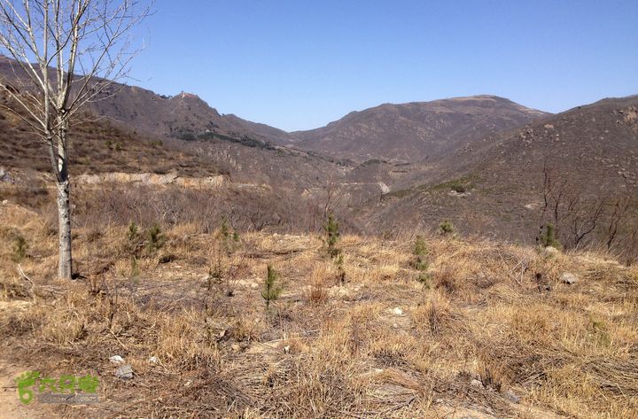 20150320-21骑行阳台山-妙峰山-禅房 （下篇）150321-涧沟村-妙峰山主峰-禅房-上苇甸村 (去禅房村路上， 回望妙峰山娘娘庙。)