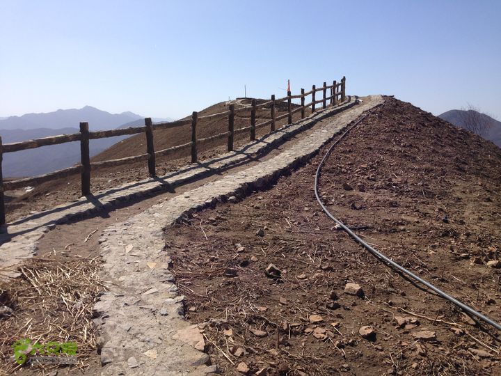 20150320-21骑行阳台山-妙峰山-禅房 （下篇）150321-涧沟村-妙峰山主峰-禅房-上苇甸村 (玫海香堤--景区， 海拔930米， 路上最高点。)