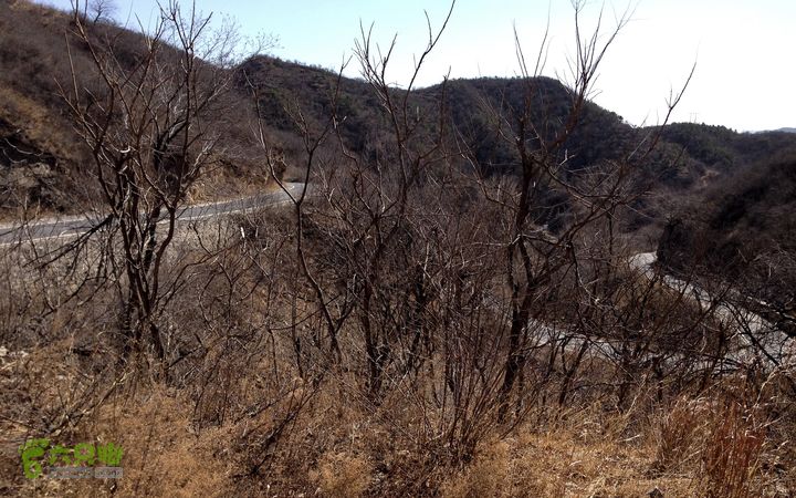 20150320-21骑行阳台山-妙峰山-禅房 （下篇）150321-涧沟村-妙峰山主峰-禅房-上苇甸村 (下山路)